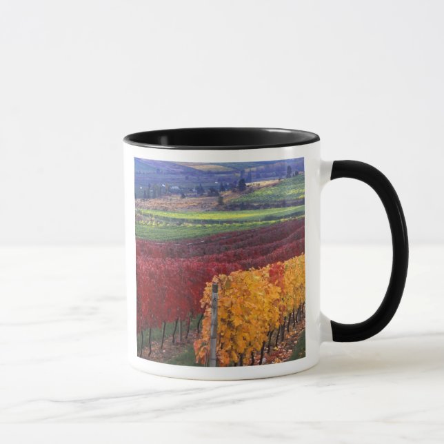 Mug Intense couleur rouge et jaune sur Gehring (Droite)