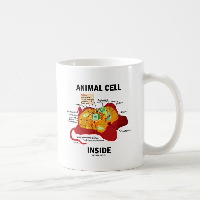 Mug Intérieur animal de cellules (biologie cellulaire (Droite)
