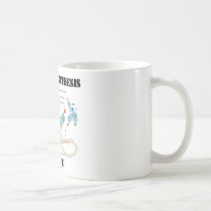 Mug Intérieur de synthèse de protéine (biologie