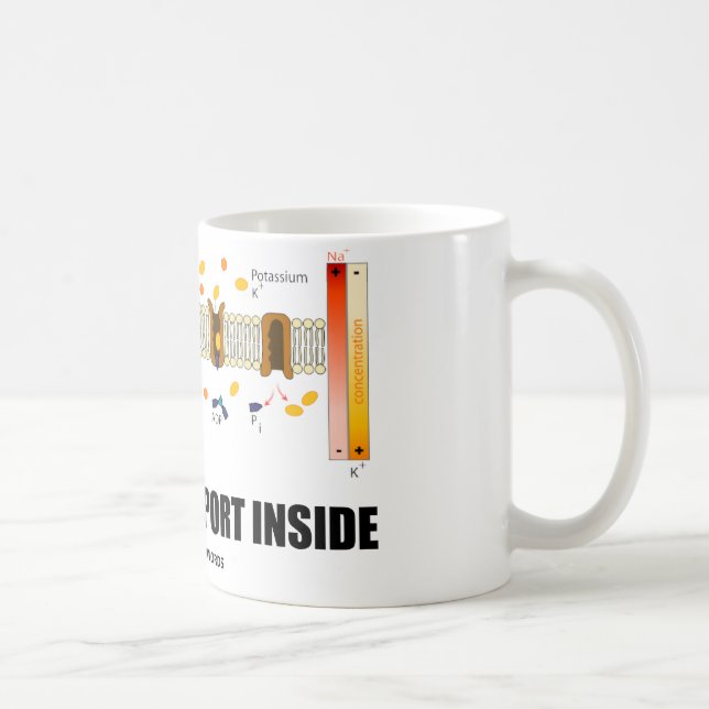 Mug Intérieur de transport actif (pompe au (Droite)