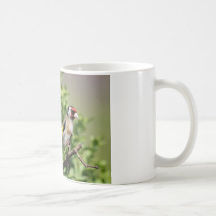 Mug Intervalle