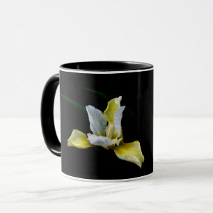 Mug Iris light