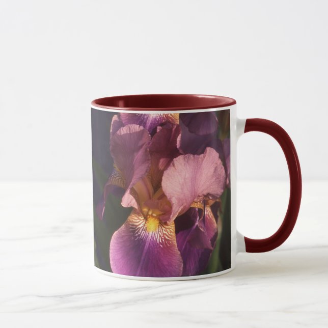 Mug Iris néerlandais barbu de rouge foncé et de rose (Droite)