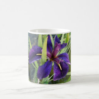 Mug Iris pourpre de l'eau