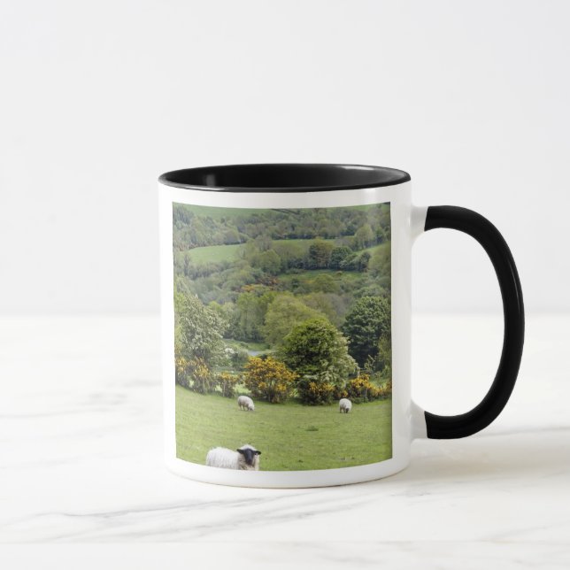 Mug Irlande occidentale, presqu'île de Dingle, large (Droite)