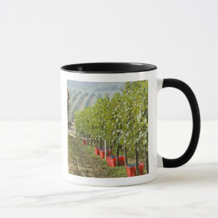 Mug Italie, Toscane, Montalcino. Cuves de récolté
