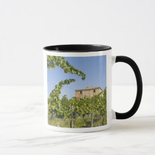 Mug Italie, Toscane, Montepulciano. Raisins prêts