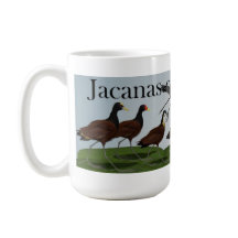 Jacanas du monde
