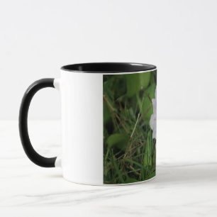 Mug Jacinthe d'eau en fleurs - Fleur aquatique tropica