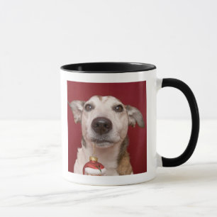 Mug Jack Russell Terrier tenant l'ornement de Noël