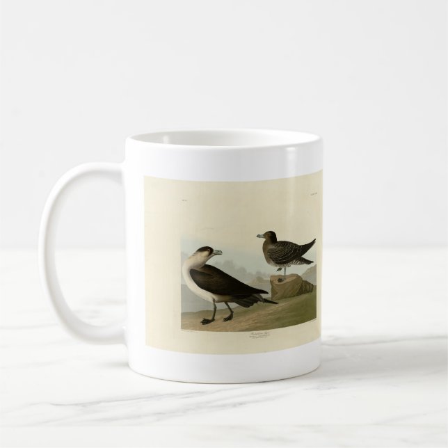Mug Jager de Richardson de Audubon's Birds of America (Gauche)