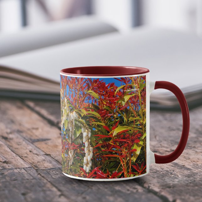 Mug Japon Andromède Bonfire (Japanese Andromedia Bonfire Shrub 11 oz Coffee Mug Cover Photo.)