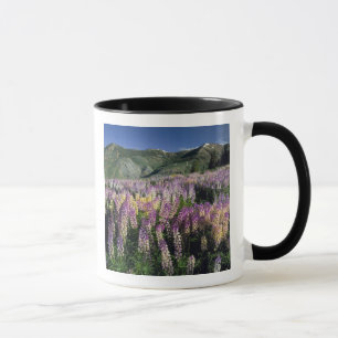 Mug JARBIDGE WILDERNESS, NEVADA.États-Unis Lupine d'