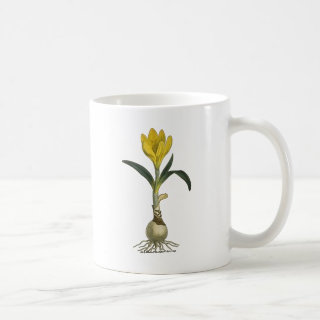Mug Jardin botanique de tulipe Amaryllis Fleur (Droite)