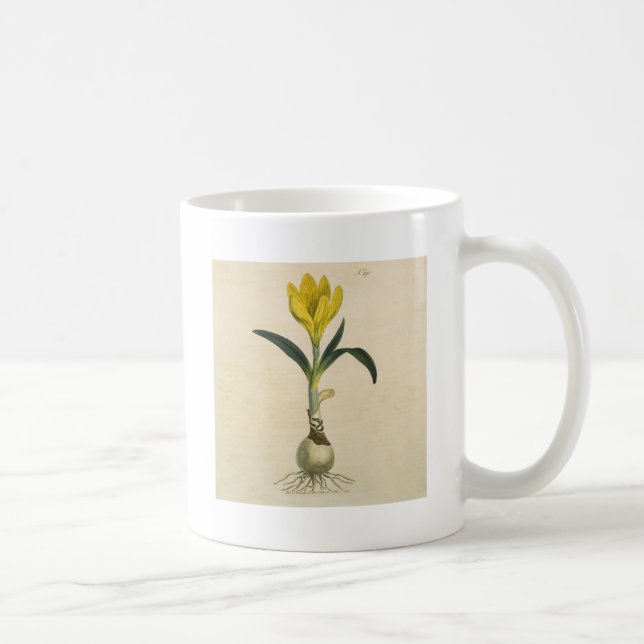Mug Jardin botanique de tulipe Amaryllis Fleur (Droite)