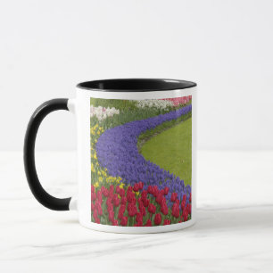 Mug Jardin de Tulip et de Grape Hyacinth et daffodil,