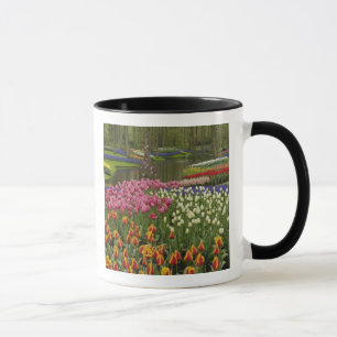 Mug Jardin de Tulip et d'Hyacinth, jardins de Keukenho