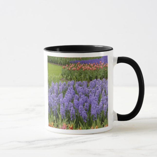Mug jardin de Tulip et Hyacinth, jardins de Keukenhof, (Droite)
