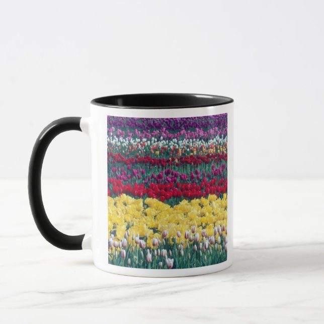 Mug Jardin de tulipes dans le comté de Skagit, (Gauche)