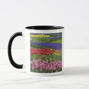 Mug Jardin de tulipes, de raisin Hyacinth et