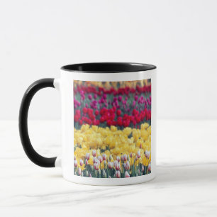 Mug Jardin d'exposition des tulipes dans la vallée de