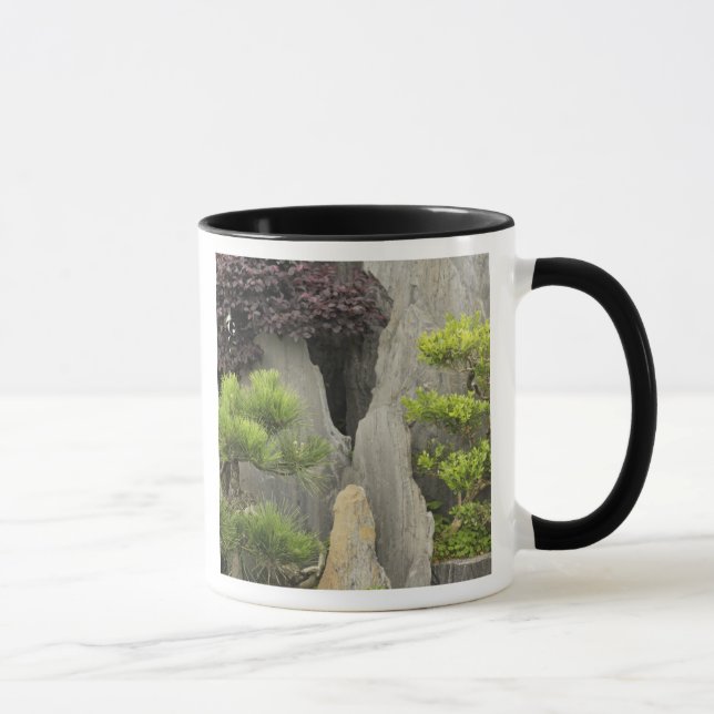 Mug Jardin familial de Bao, Huangshan, Chine.2 (Droite)