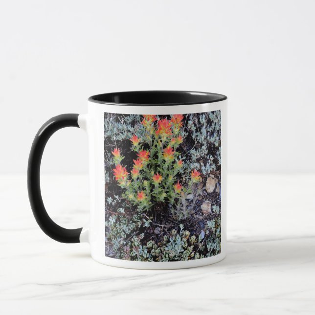 Mug Jardin miniature à Gem Lake (Gauche)