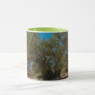 Mug Jardins d'olivier de Lun