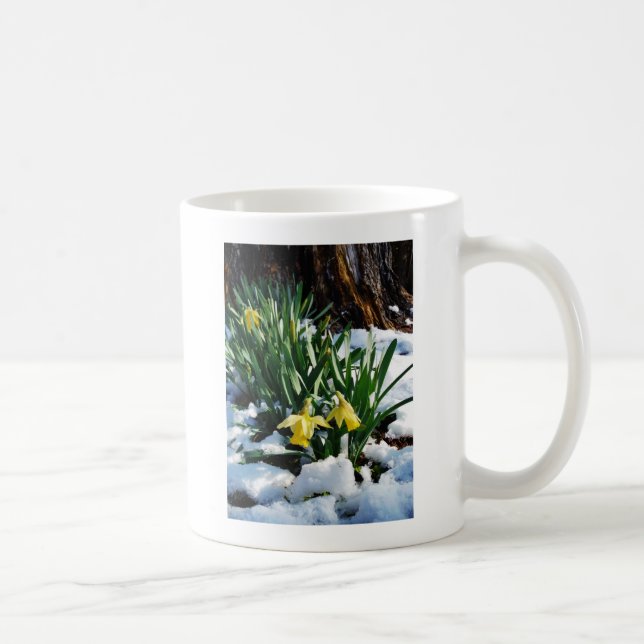 Mug Jaune Daffodils fleurs dans la neige (Droite)