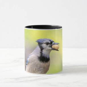 Mug Jay bleu avec arachide