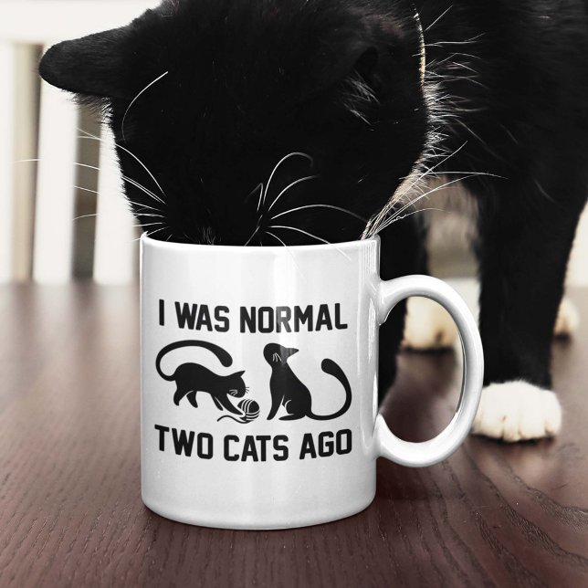 Mug J'Étais Normal Il Y A Deux Chats (I Was Normal Two Cats Ago Mug)