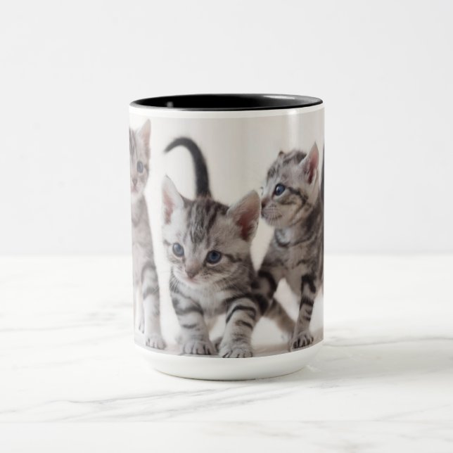 Mug Jeu de Shorthair de trois Américains (Centre)