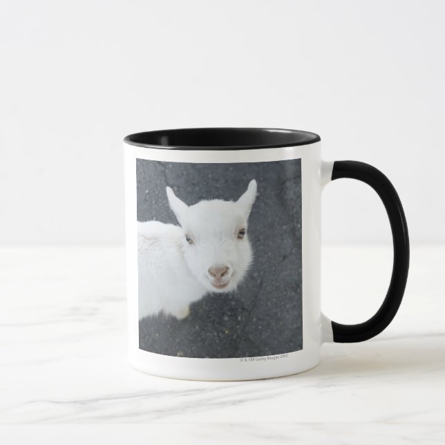 Mug Jeune chèvre (Droite)