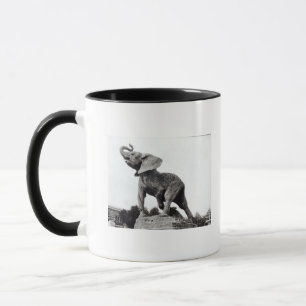 Mug Jeune éléphant attrapé dans un piège