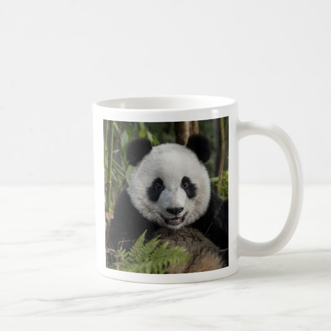 Mug Jeune panda heureux, Chine (Droite)