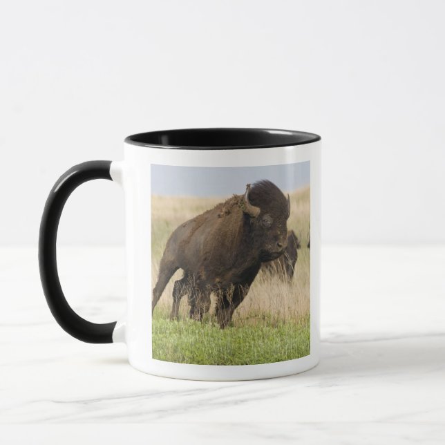 Mug Jeune taureau de bison fougueux à la Tallgrass (Gauche)