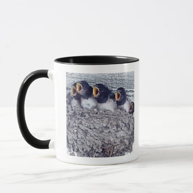 Mug jeunes hirondelles de grange (Gauche)