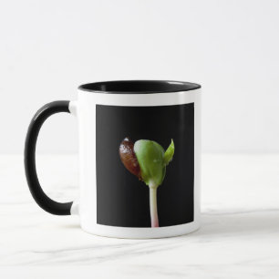 Mug Jeunes plantes d'Apple avec la coquille de graine