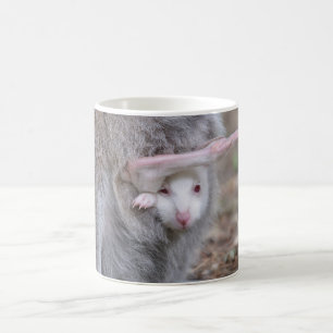Mug Joey albinos dans la poche