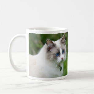 Mug Joli Chat Ragdoll aux Yeux Bleus