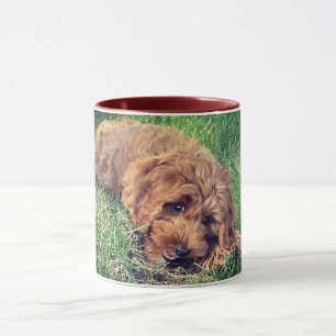 Mug Joli Golden Doodle