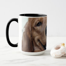 Joli Golden Retriever | Photographie de Chien Orig