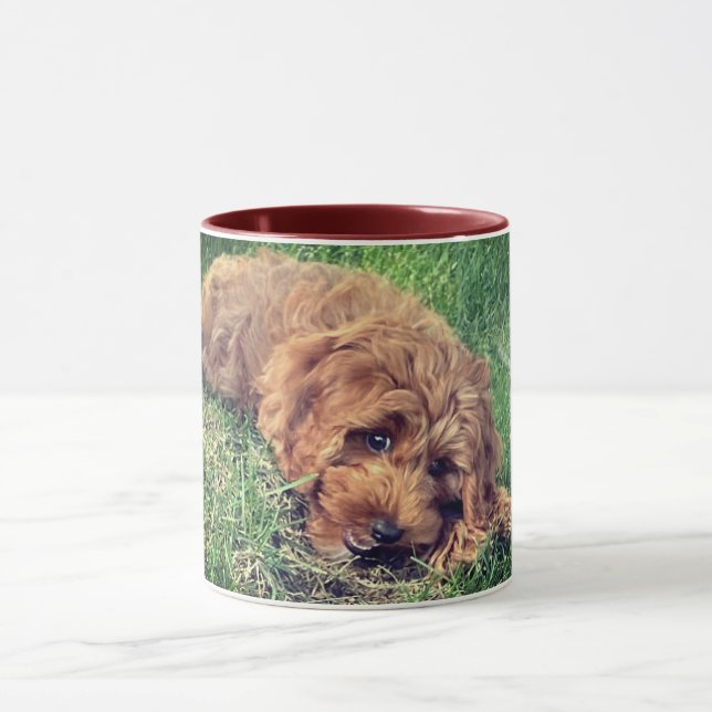 Mug Joli Goldendoodle (Centre)