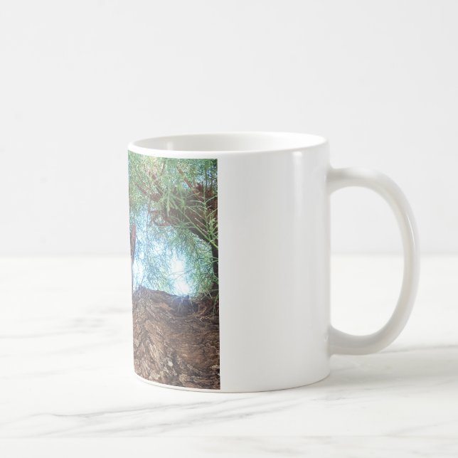 Mug Joli petit chaton jouant dans les bois (Droite)