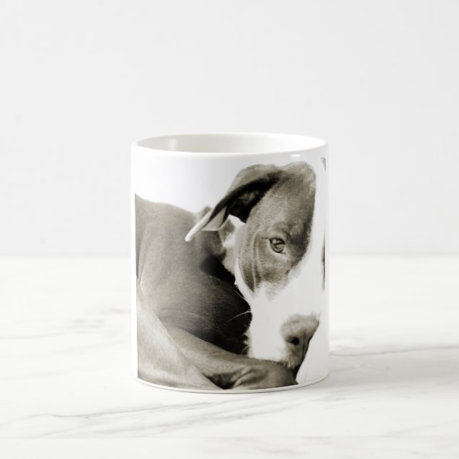 Mug joli pitbull endormi paresseux (Centre)