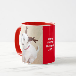 Mug Joli Rinder Grinning Chien Chien Chien Chien Rouge