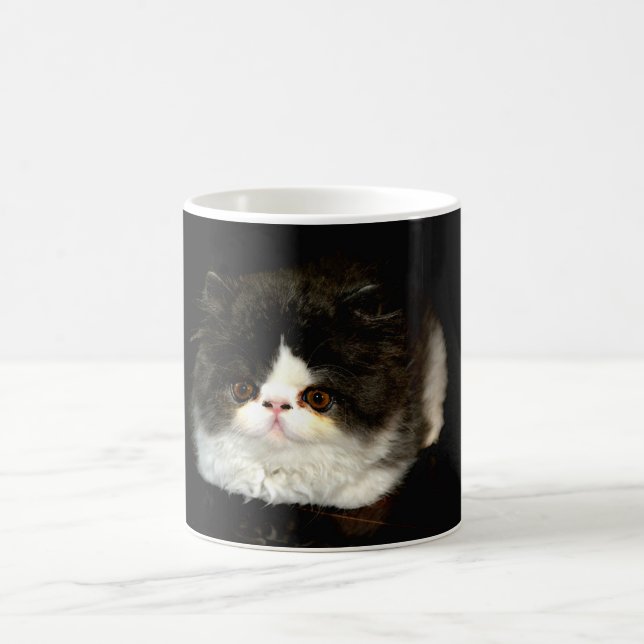 Mug jolie photo noir blanc chaton chat ragdoll (Centre)