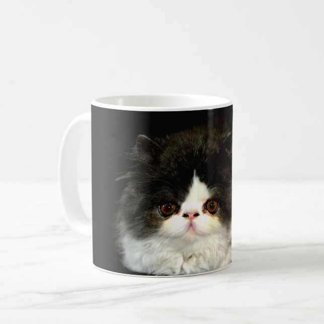 Mug jolie photo noir blanc chaton chat ragdoll (Devant gauche)