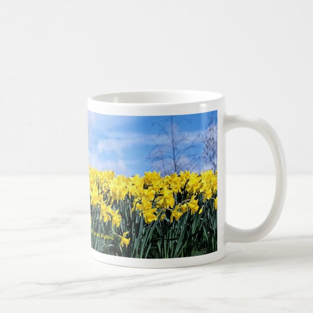 Mug Jonquilles de ressort, Shrewsbury, Shropshire, (Droite)