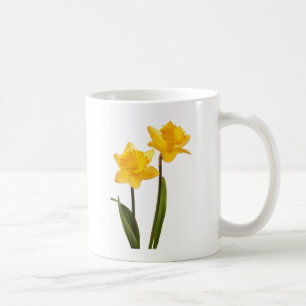 Mug Jonquilles jaunes de ressort sur le blanc